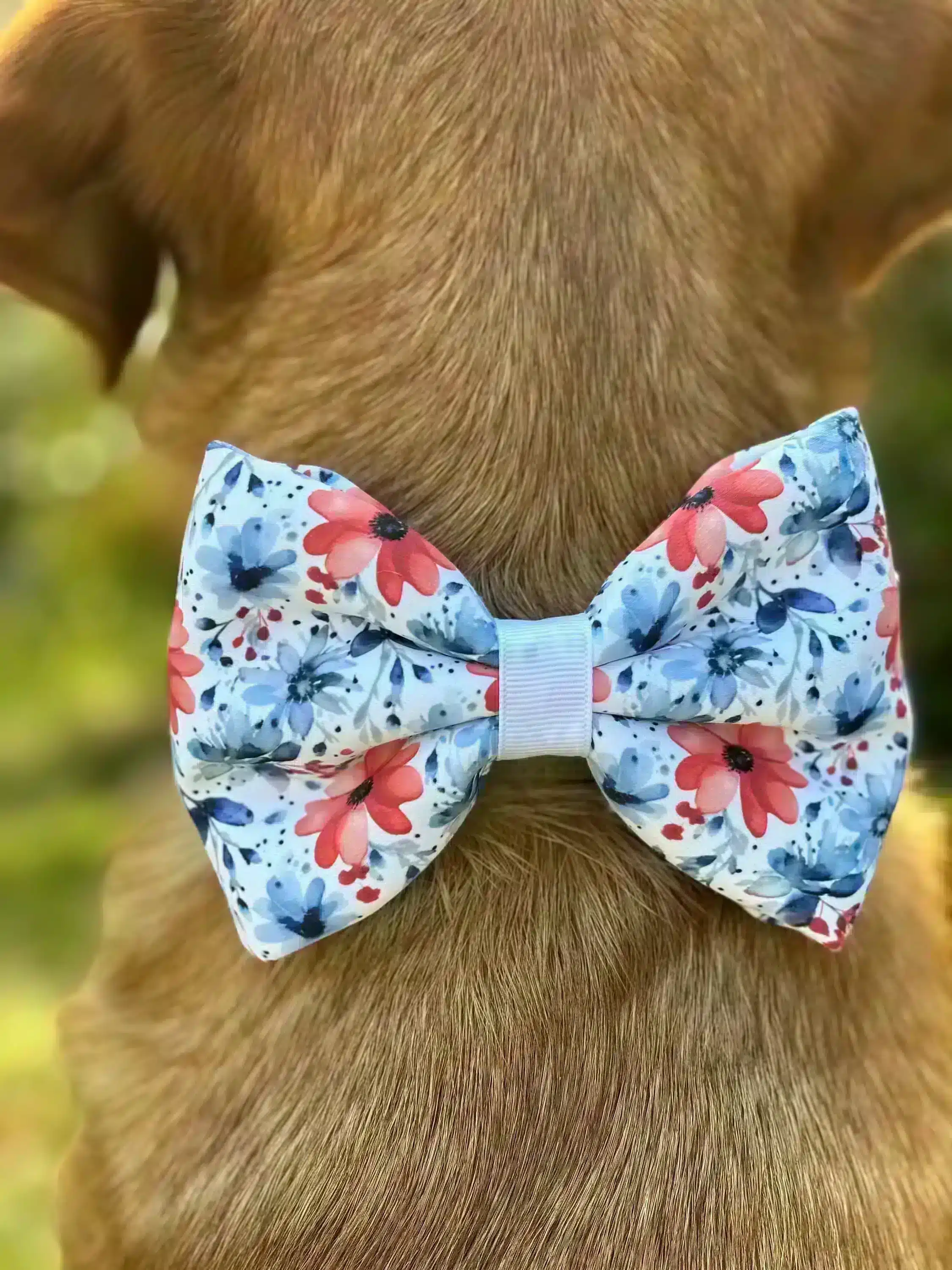 Close-up view of a dog wearing a handmade, puffy pet bow tie with a red and blue floral pattern. The bow tie stands out against the dog's brown fur, creating a cheerful and vibrant look.