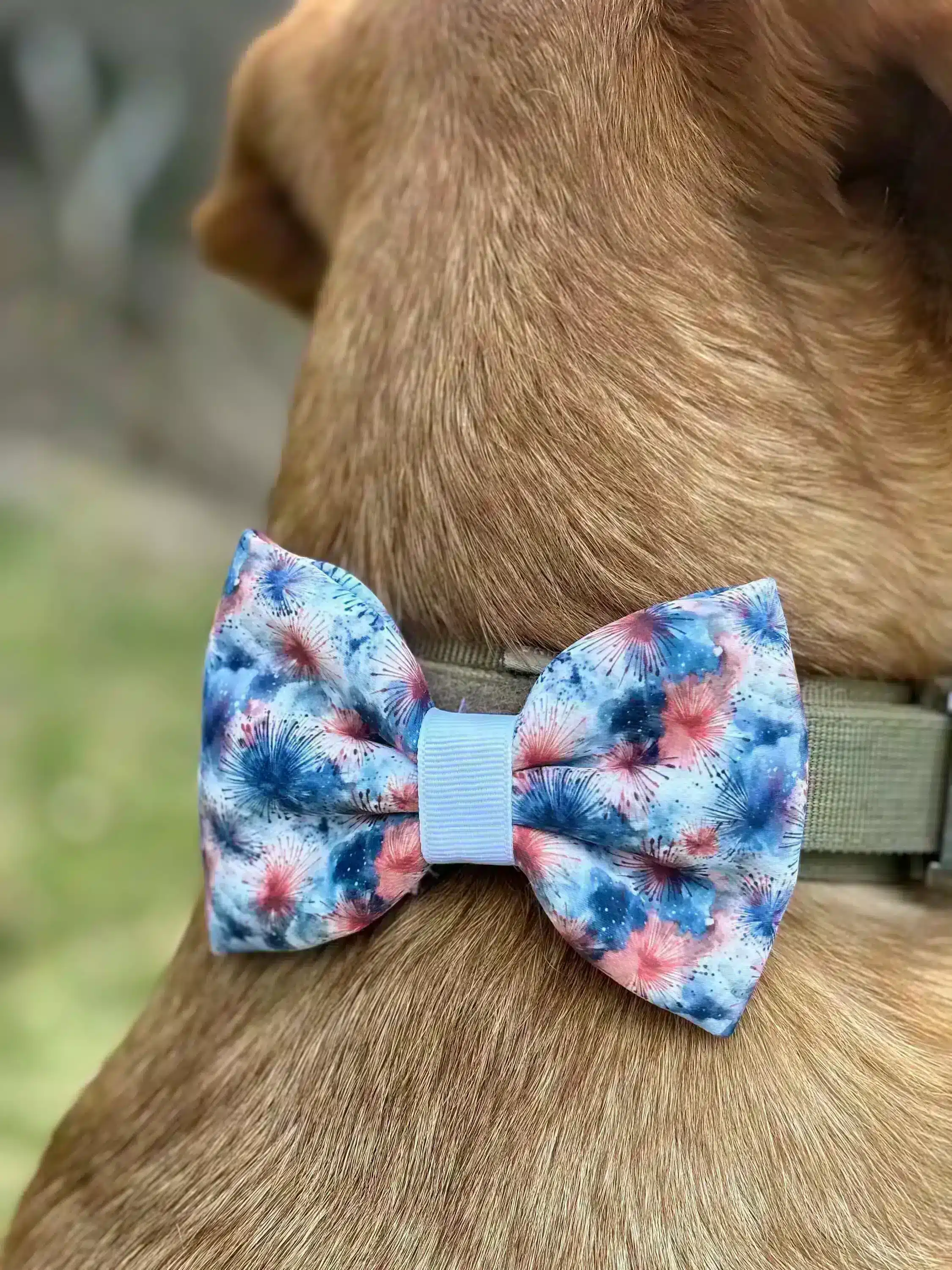 Close-up view of a dog wearing a handmade, puffy pet bow tie with a red, white, and blue fireworks pattern. The bow tie stands out against the dog's brown fur, creating a festive look.