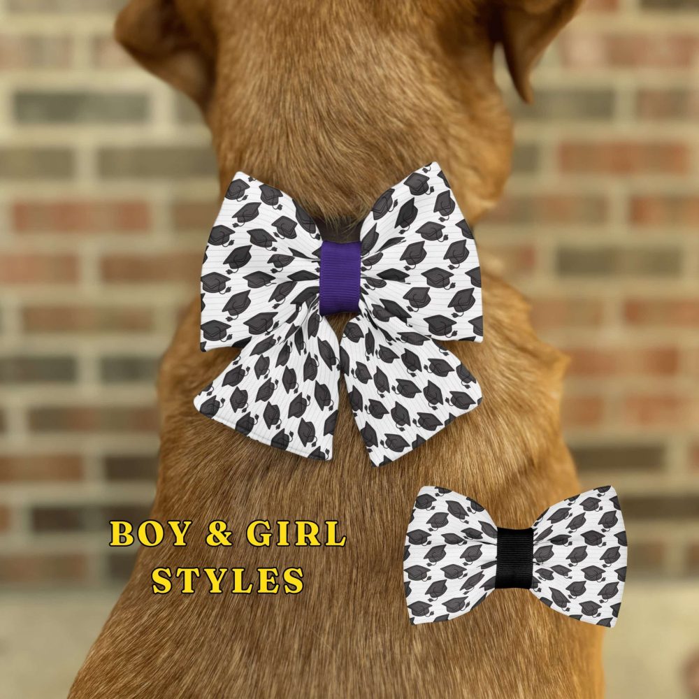 Dog wearing stylish patterned bow ties.