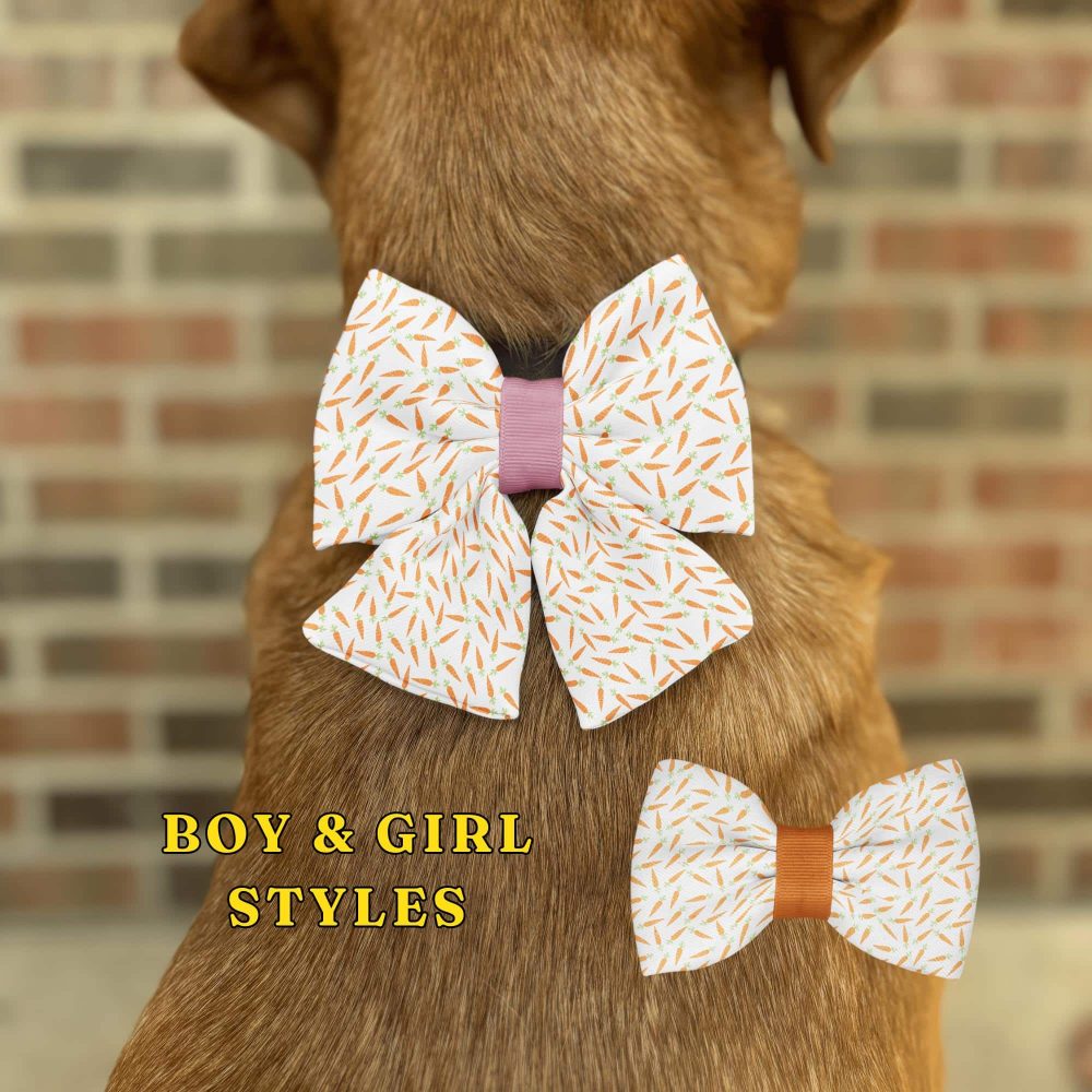 Dog with stylish bow ties for boys and girls.