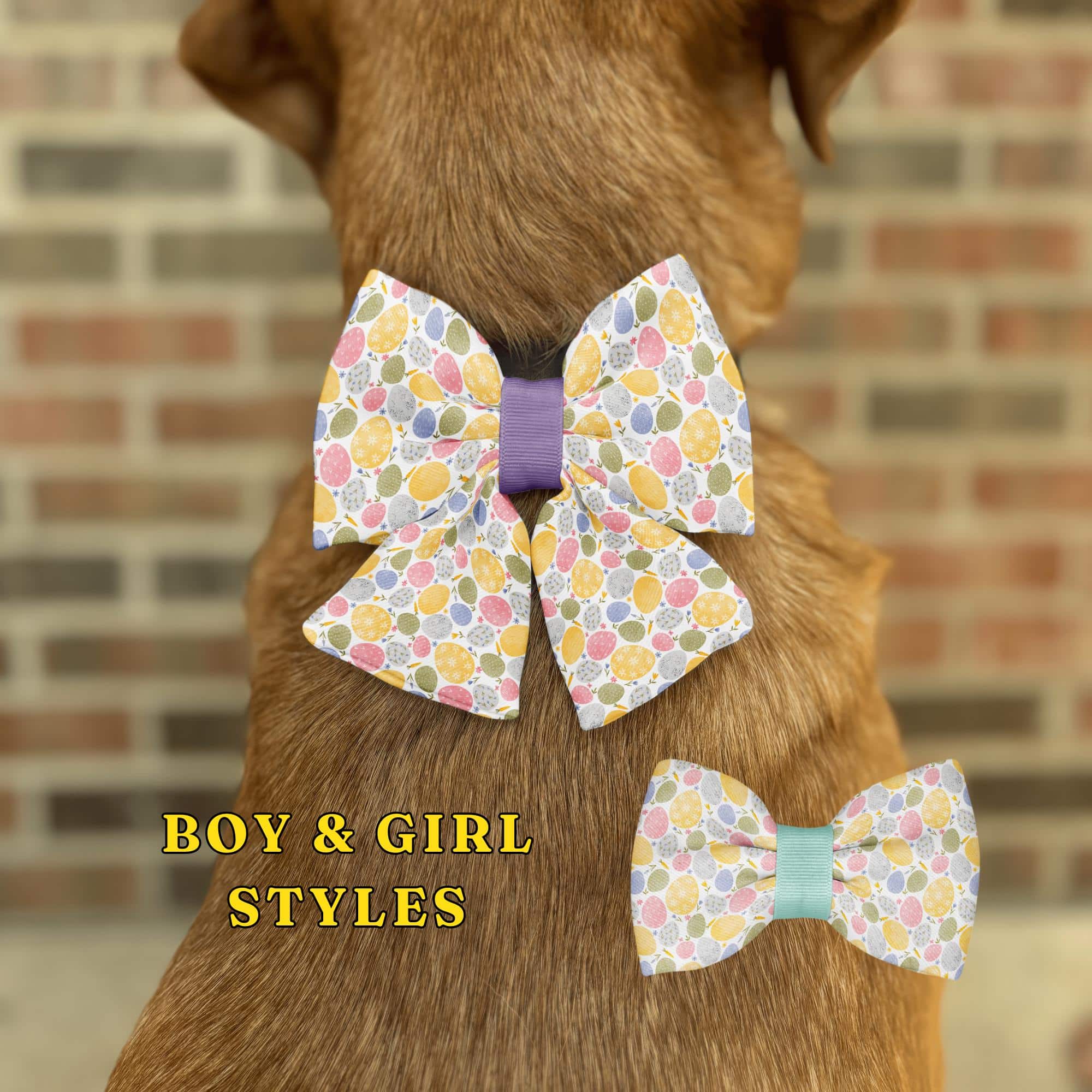 Dog with colorful bow tie, boy and girl styles.