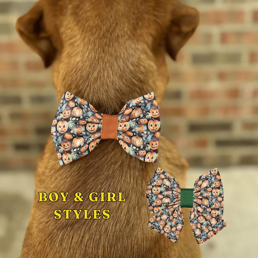 Dog with Halloween bow tie, boy and girl styles.