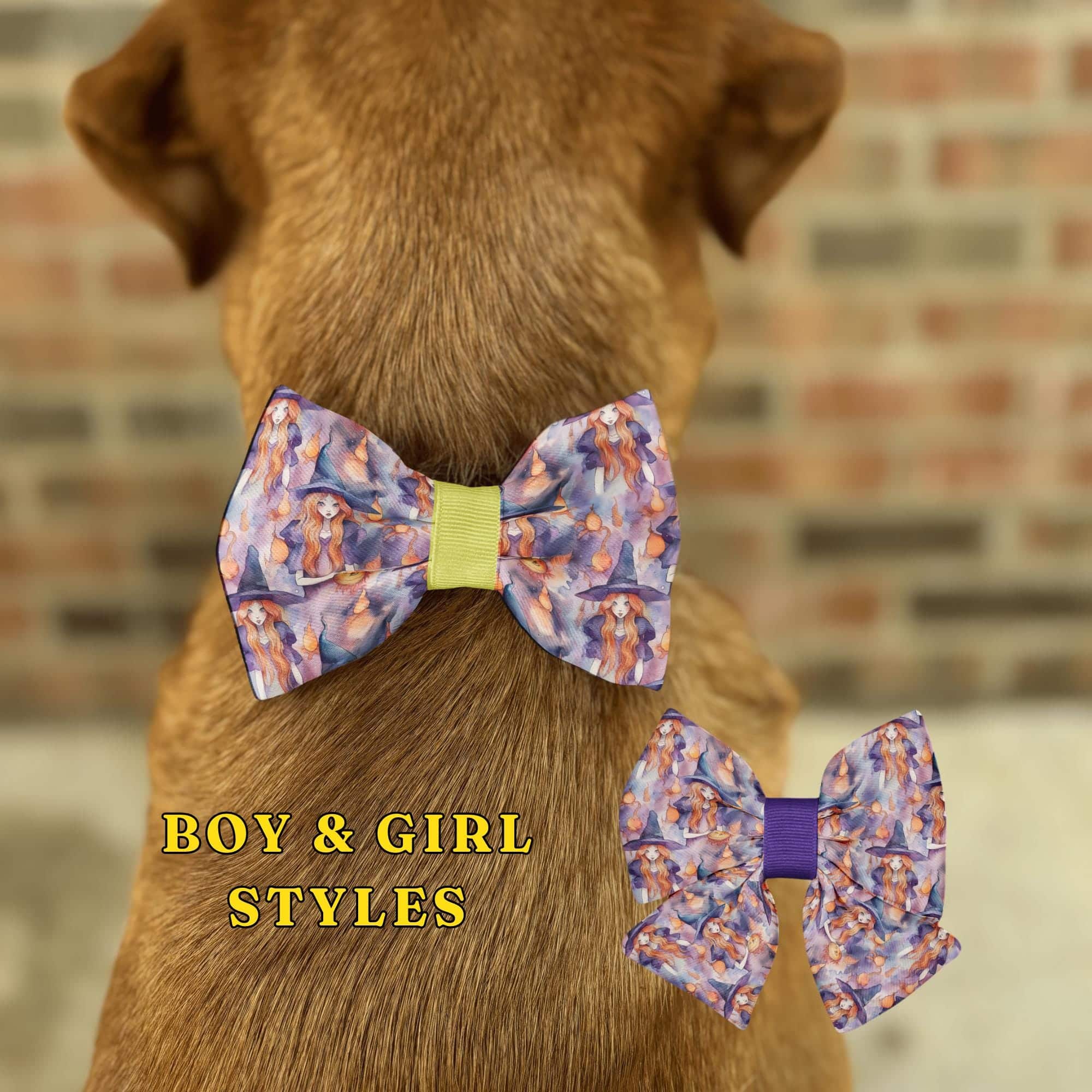 Dog wearing colorful bow tie, boy and girl styles.