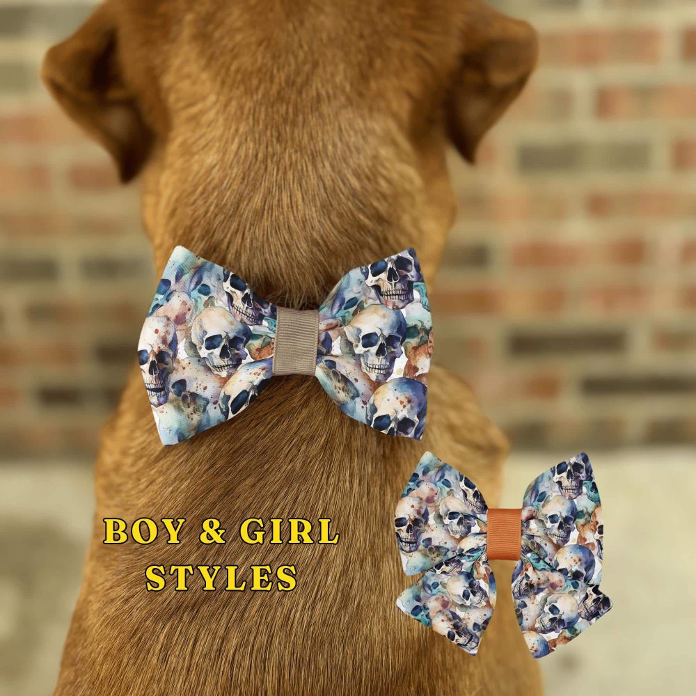 Dog with skull bow tie accessories