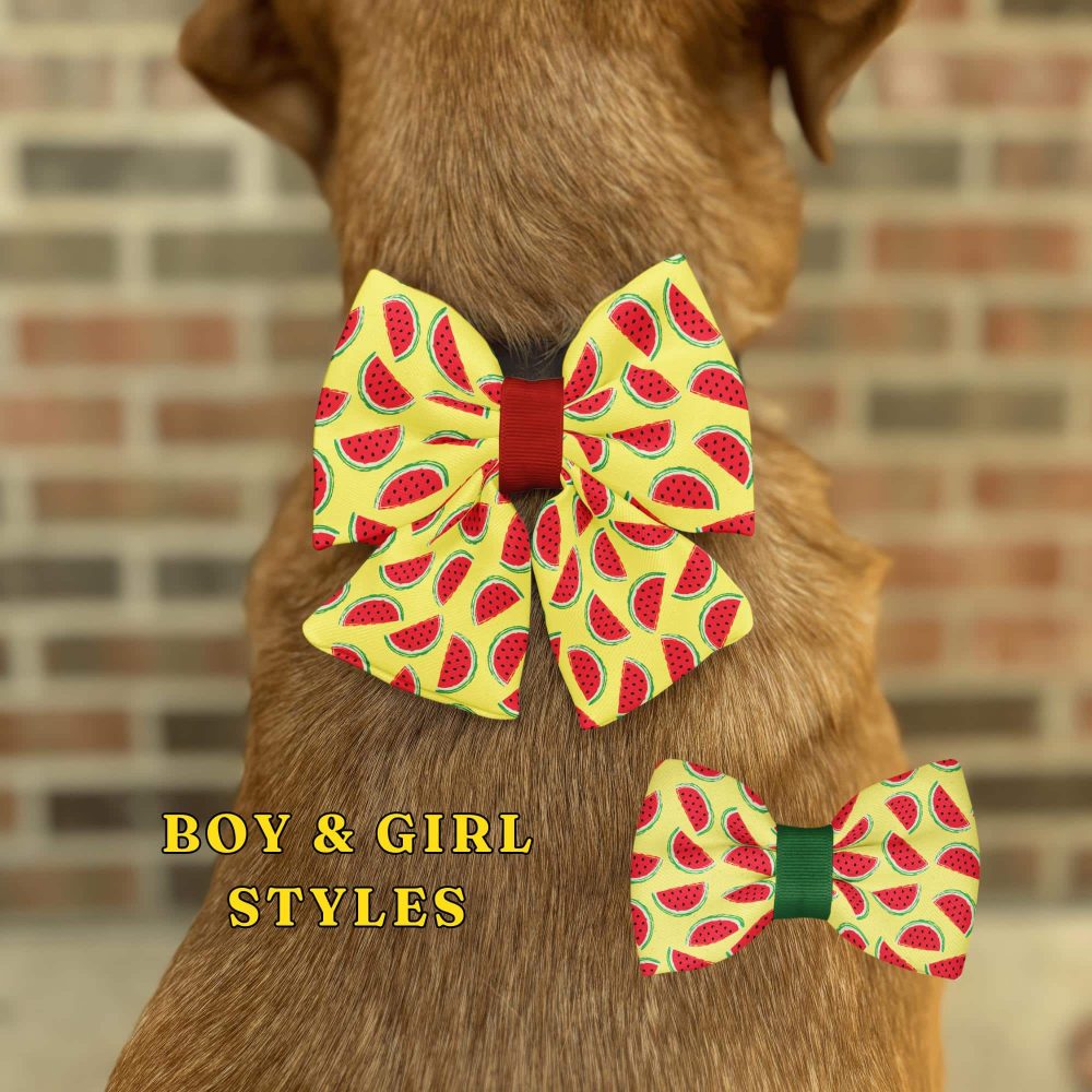 Dog with watermelon bow ties, boy and girl styles.