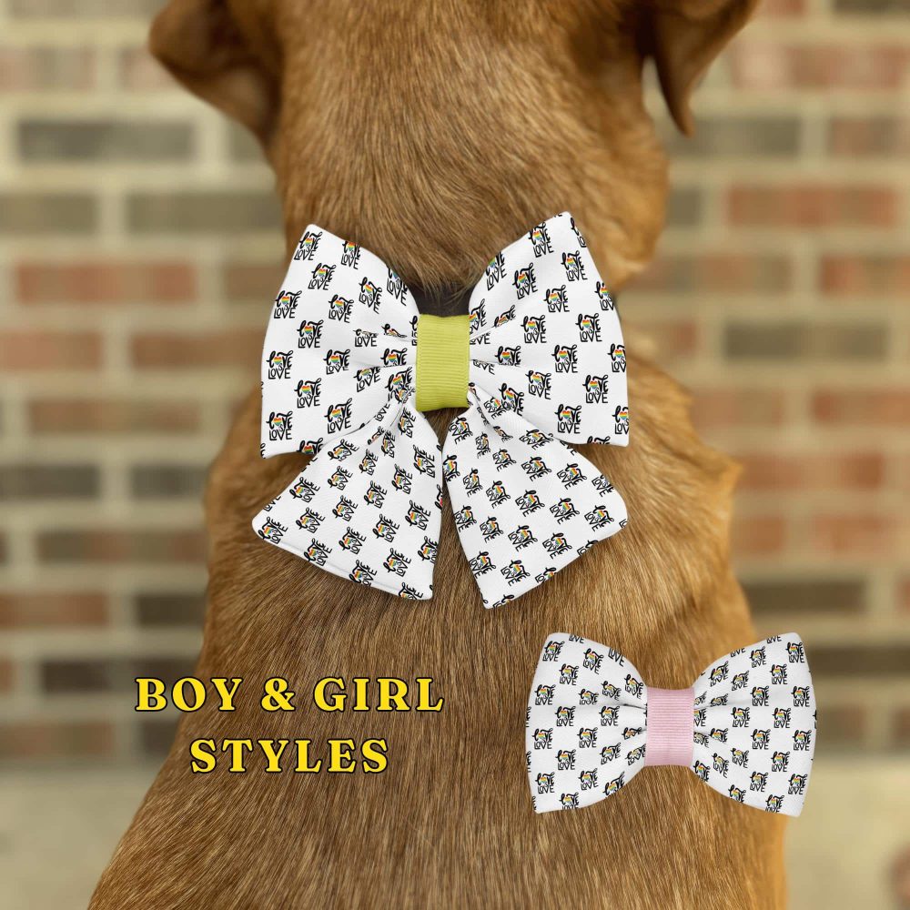 Dog wearing a white bow tie