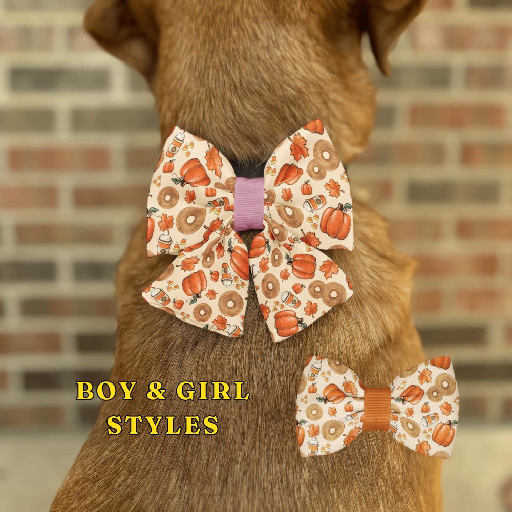 Dog wearing pumpkin-themed bow ties