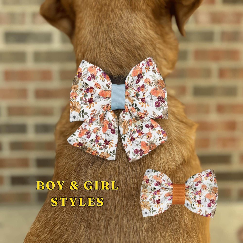 Dog wearing floral bow ties, gender-neutral styles