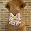 Dog with floral bow, brick background
