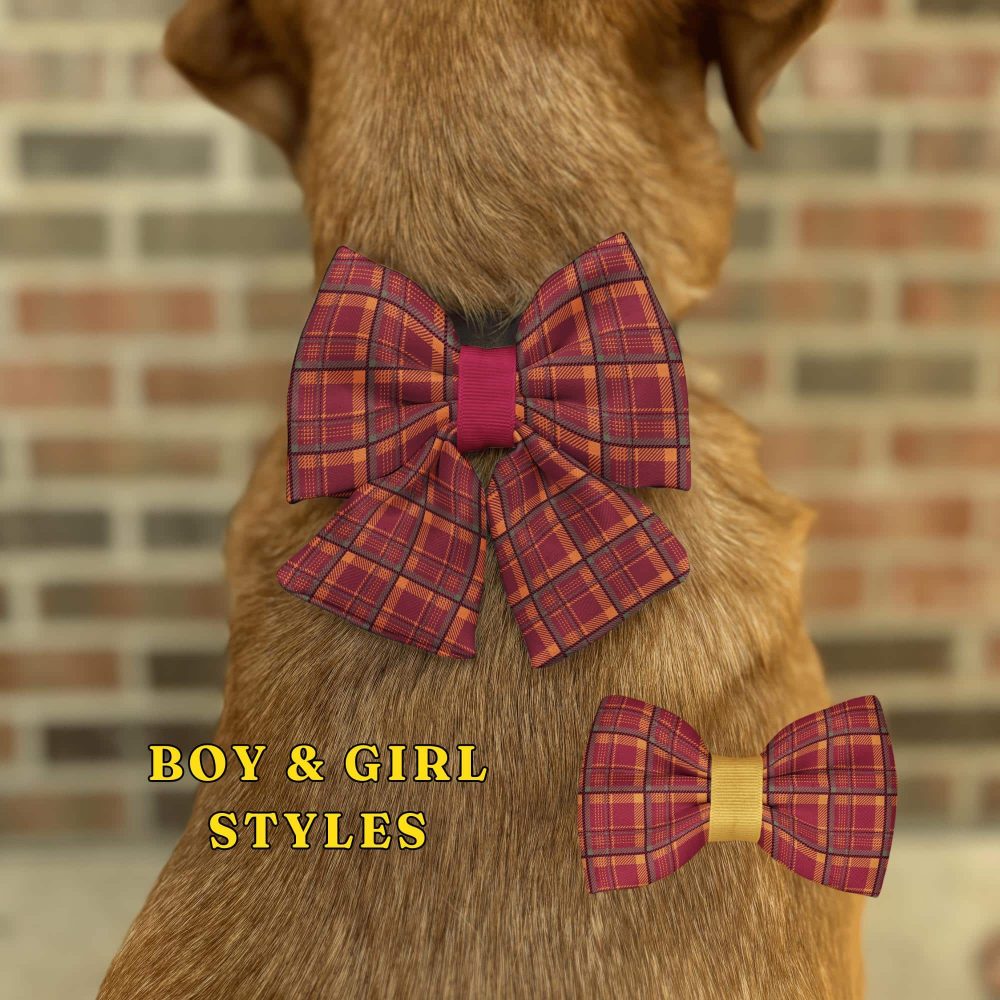 Red plaid bows on dog's back, boy and girl styles.