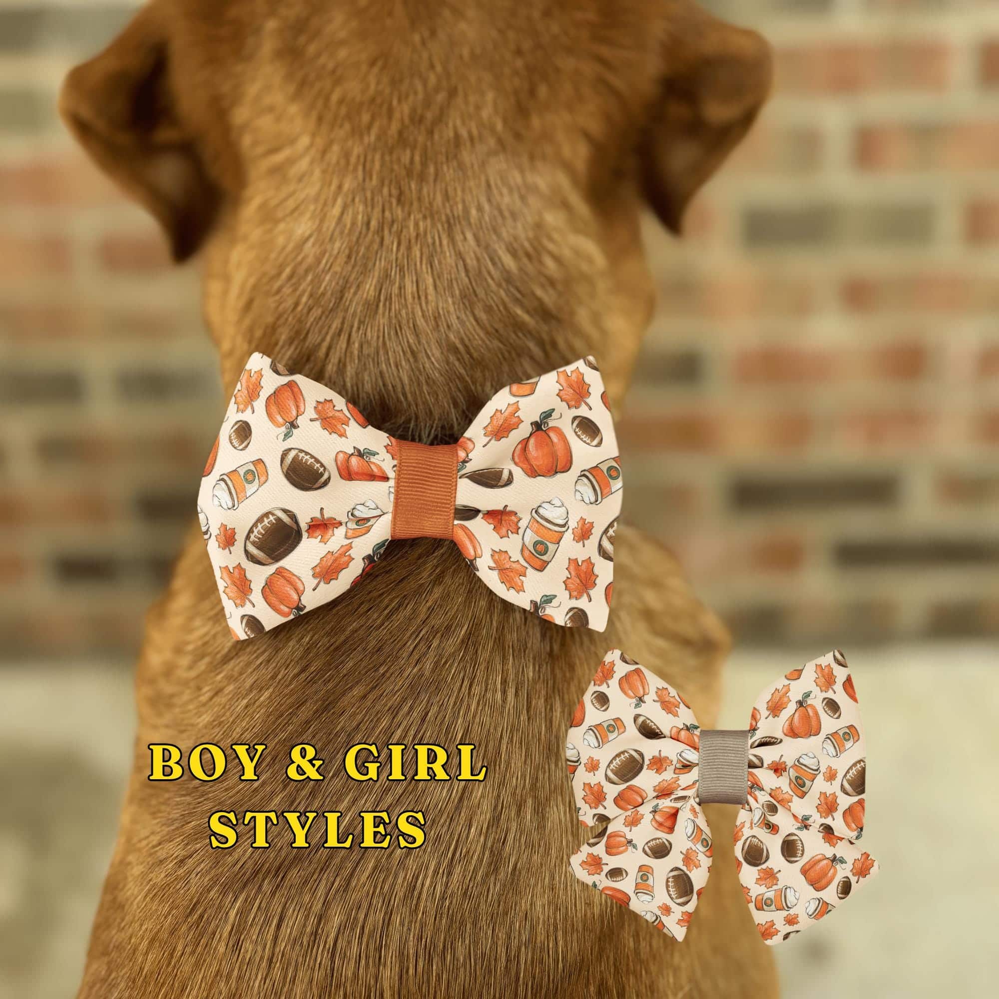 Dog with autumn-themed bow ties.