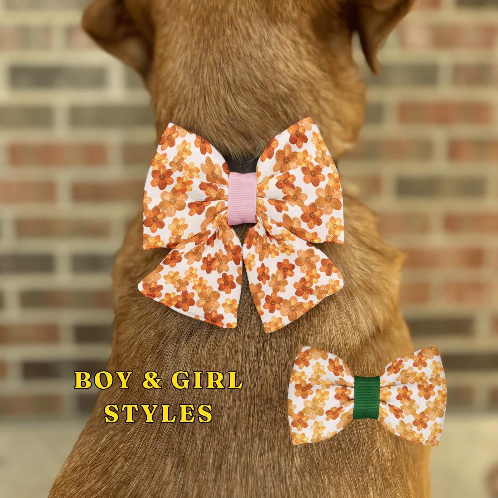 Dog with floral bow ties, boy and girl styles.