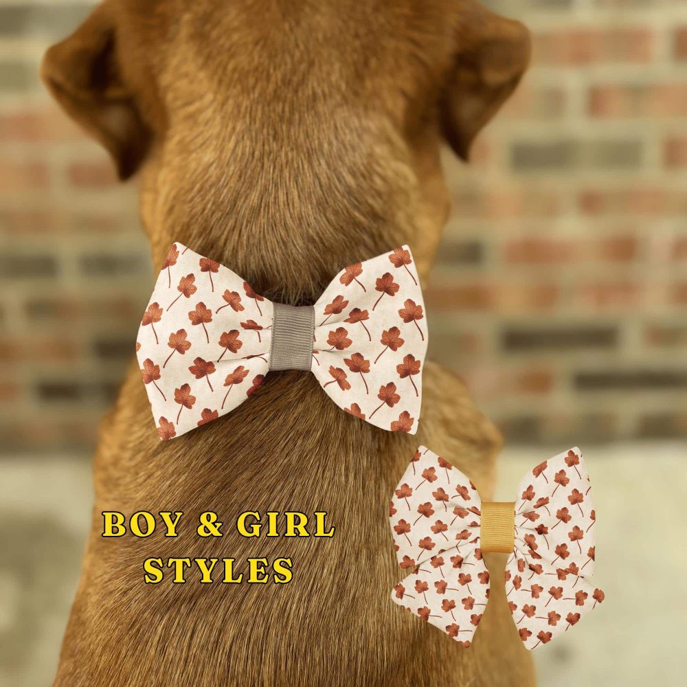 Dog wearing floral bow tie, boy and girl styles.