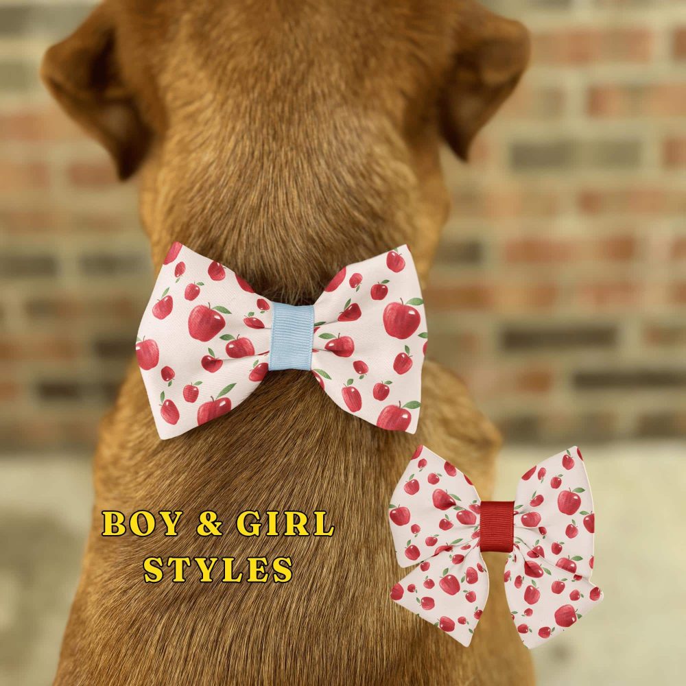 Dog with apple print bow ties, boy and girl styles