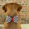 Dog with festive bow tie facing brick wall.