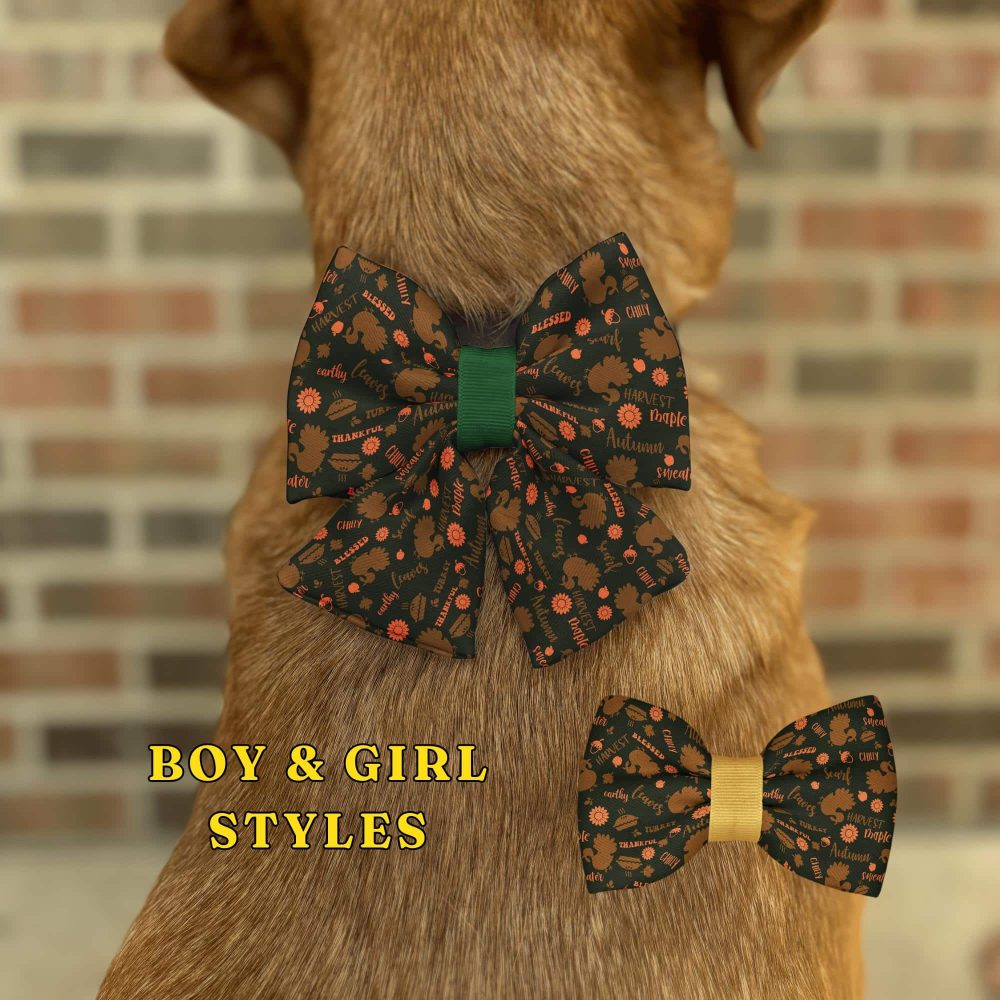 Dog wearing fall-themed bow tie for pets.