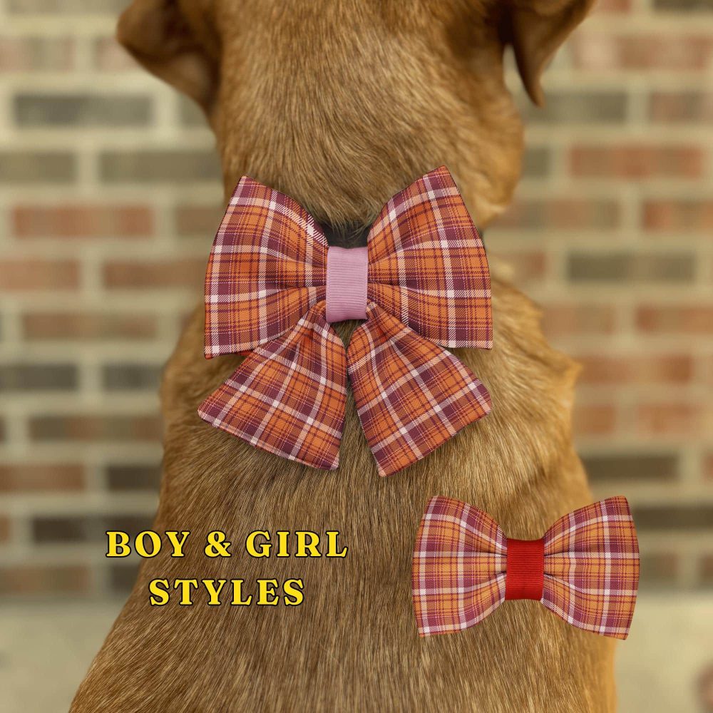 Dog wearing plaid bow tie, boy and girl options.