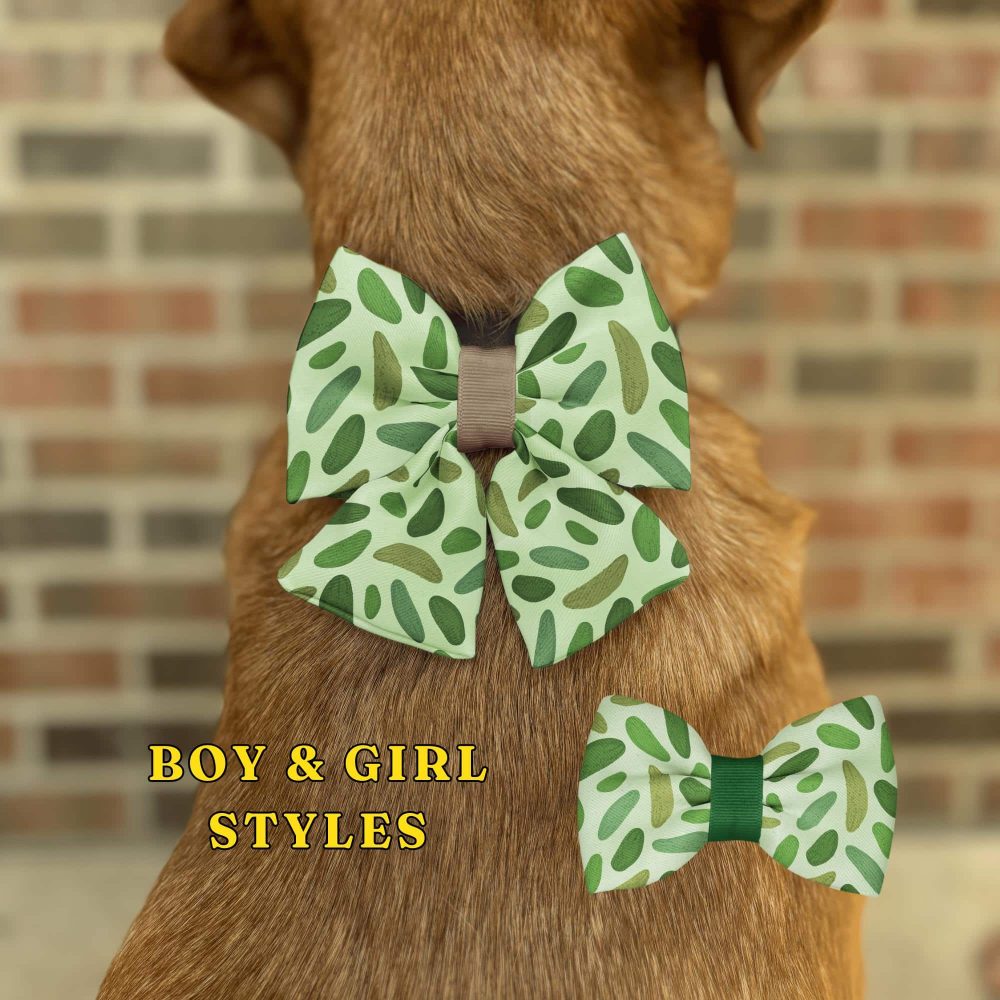 Dog wearing green patterned bow tie