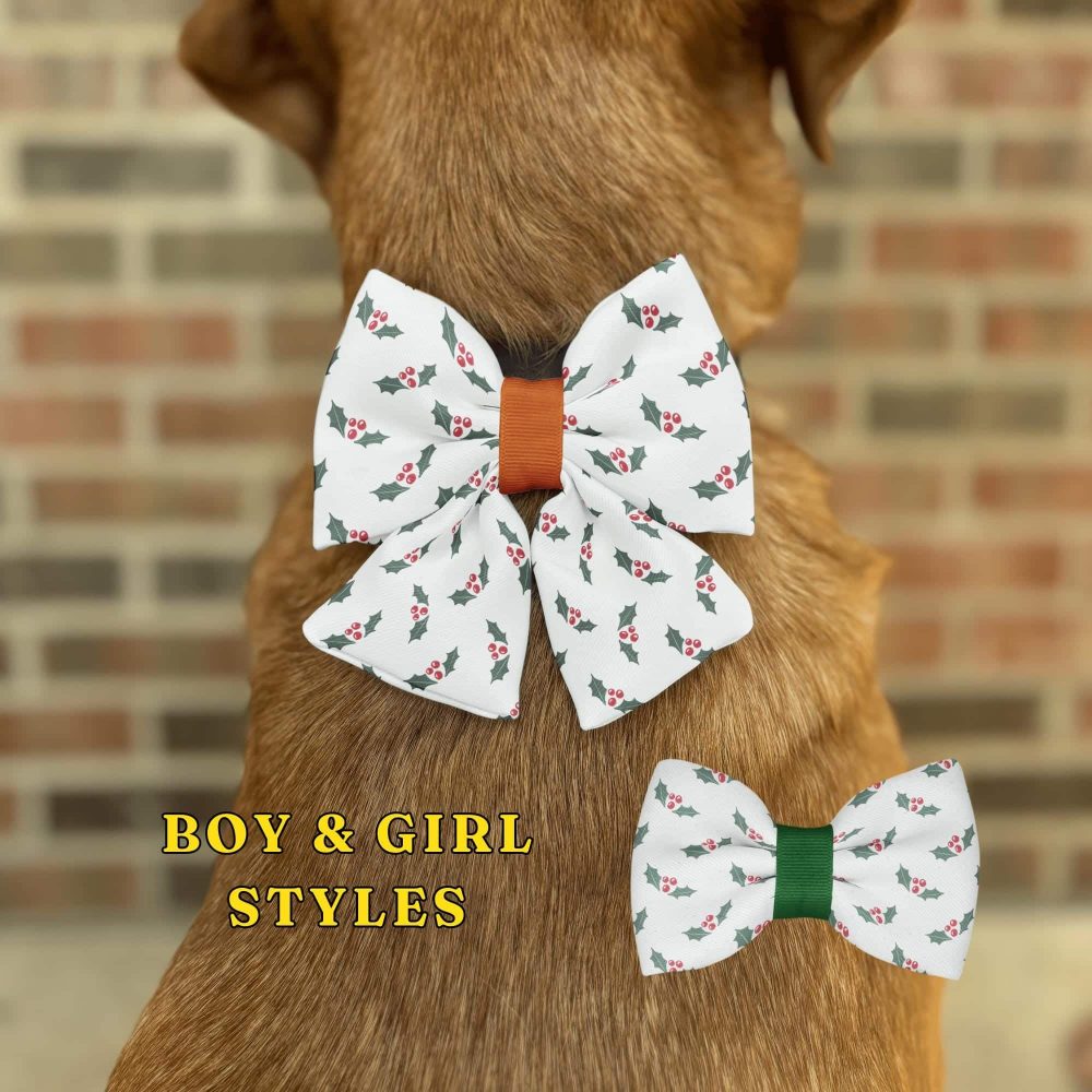 Dog wearing festive holiday pattern bows.