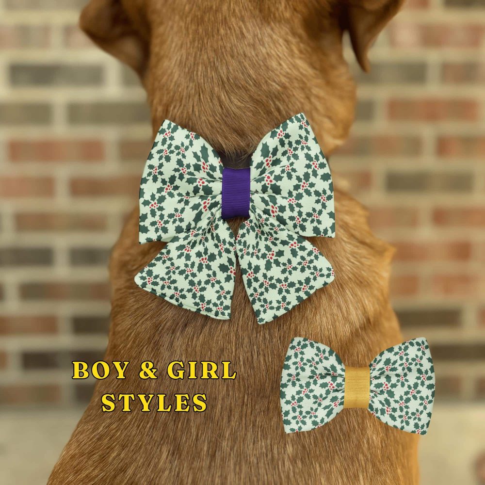 Dog with floral bows, boy and girl styles