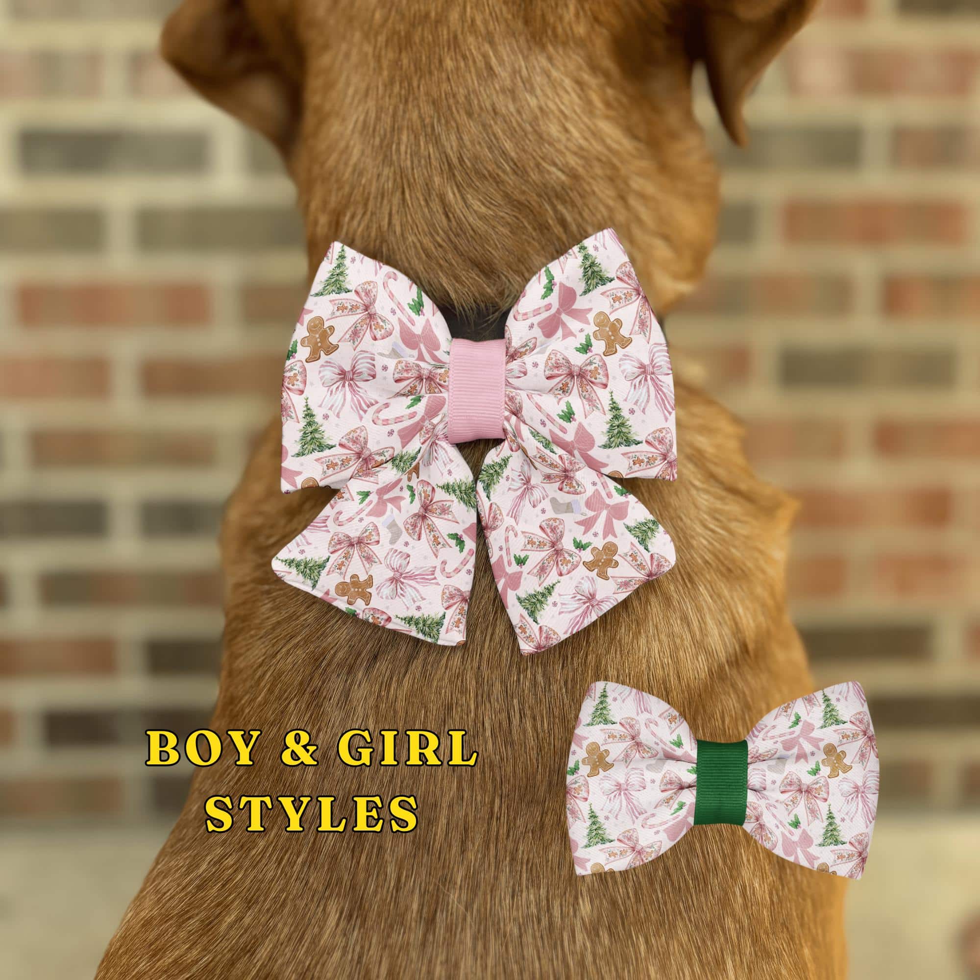 Dog wearing festive bow tie accessories