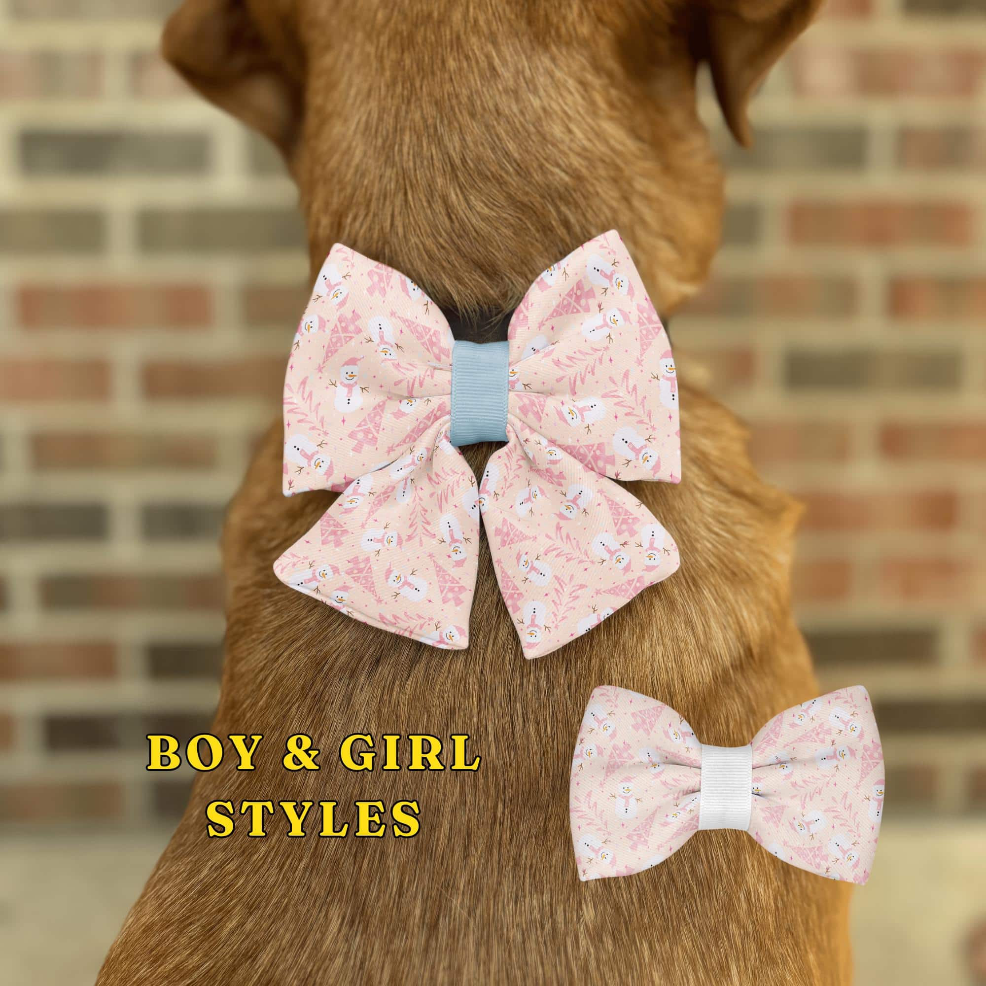 Dog wearing pink bow tie, boy and girl styles.